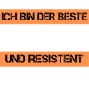 Resistant Mage