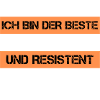 Informaticien résistant