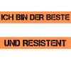 Artisan résistant