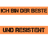 Resistant Philosopher