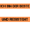 Resistant polisher