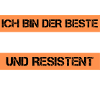 Resistant welder