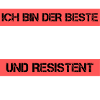 Peintre résistant