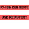 Informaticien résistant