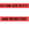 Maçon résistant