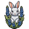 Lapin lapin Bluebonnets