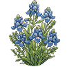 Texas Bluebonnets
