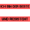 Ingénieur résistant