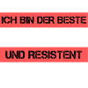 Resistenter Schreiner