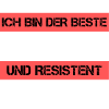Resistant polisher