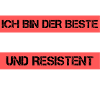 Resistenter Buchhalter