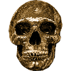 Skull,metallic,sequins,rivets,gold