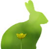Hase