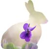 Rabbit Rabbit