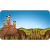 Meerkat Family | Customisable