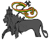 ridm lion