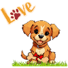 My darling puppy