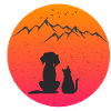 Cat and dog friend