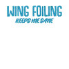 Wing Foiling Wing Surfing Winging