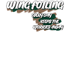 Wingsurf, Wing Foil, Winging