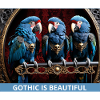 Gothic Blue Parrots