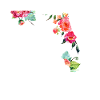 Florida Souvenir USA America