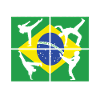 Capoeira Capoeirista