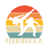 Capoeira Capoeirista