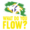 Capoeira Capoeirista