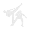 Capoeira Capoeirista