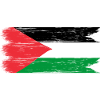 Beautiful Palestinian flag