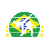Capoeira Capoeirista