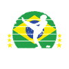 Capoeira Capoeirista