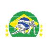 Capoeira Capoeirista