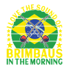 Capoeira Capoeirista