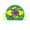 Capoeira Capoeirista