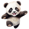 Panda Markus