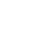 Otter