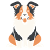 Humour chien border collie