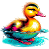 Caneton Canard Canard