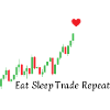 Eat Sleep Trade Repeat