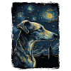 Galgo Espanol Starry Night
