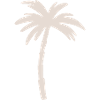 Palm tree