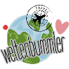 Weltenbummler