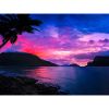 ISLAND DREAM