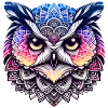 Mystical Owl Mandala