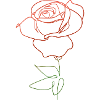 ROSE FLOWER LINER