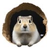 Süßes schläfriges Erdhörnchen