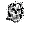 Skull OG Kush Cannabis