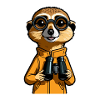 Entdecker Meerkatze
